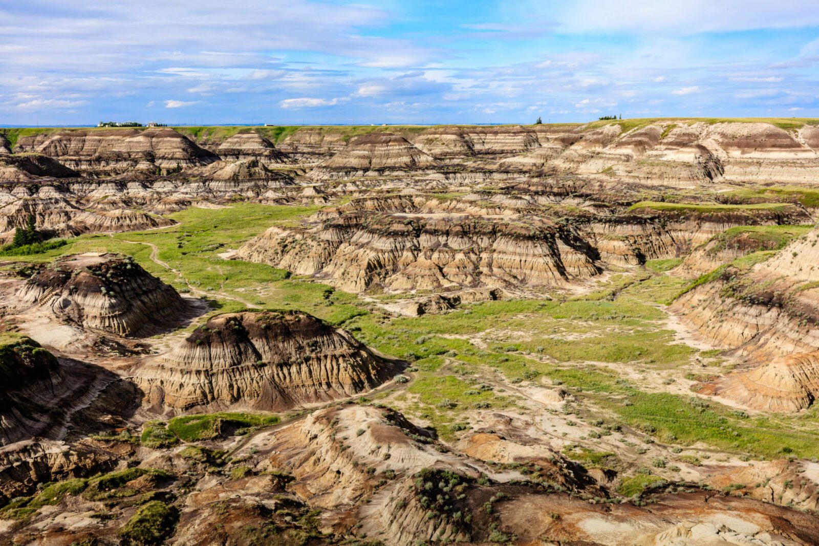 Scenic shot of a valley in Drumheller with a layer of green gras