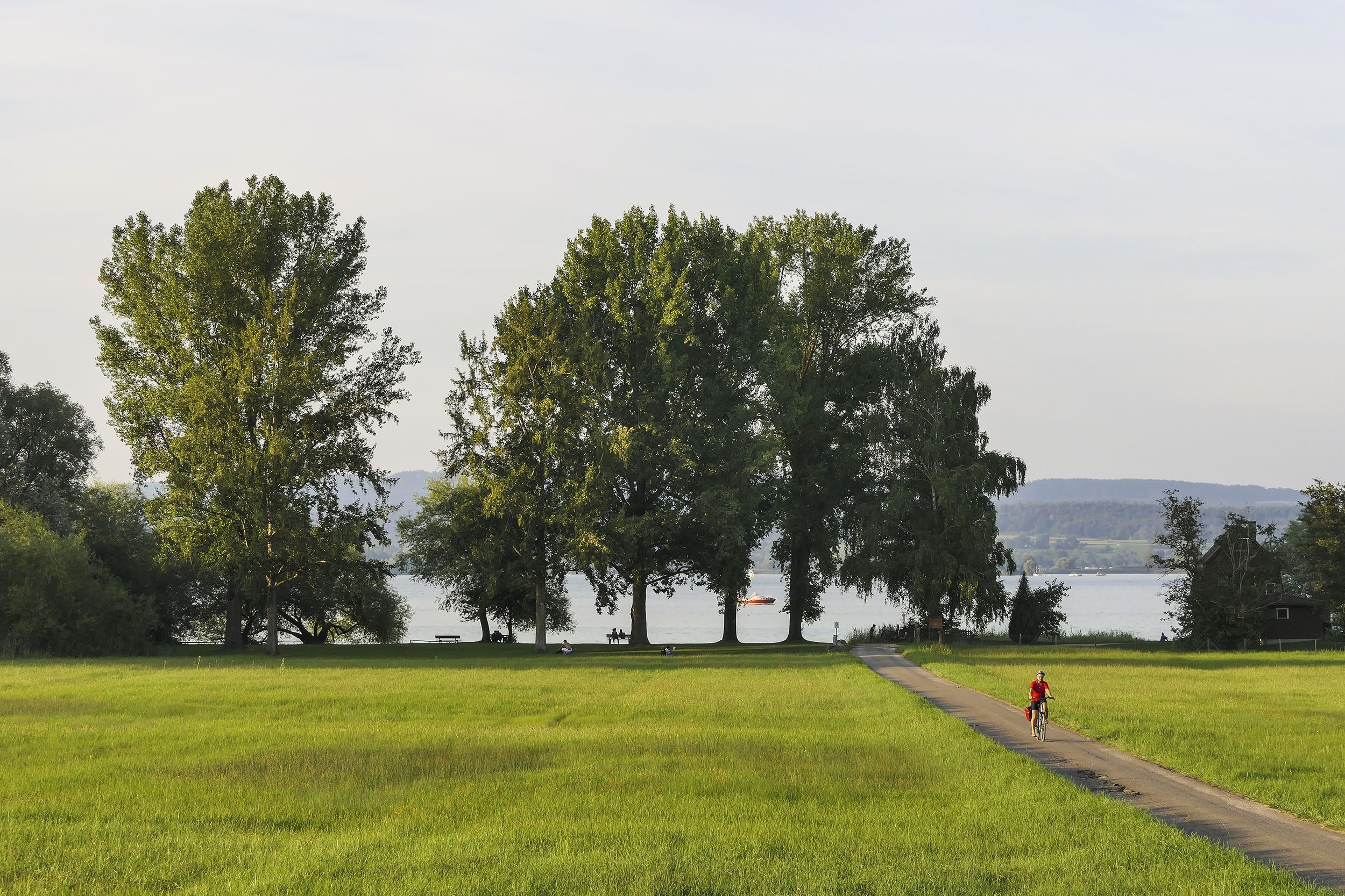Deutschland; Bodensee; Halbinsel Höri