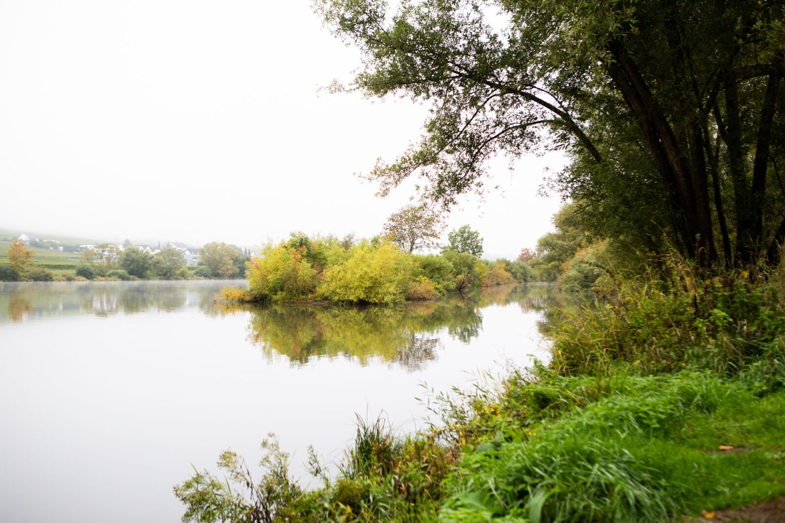 Bullitour an der Mosel