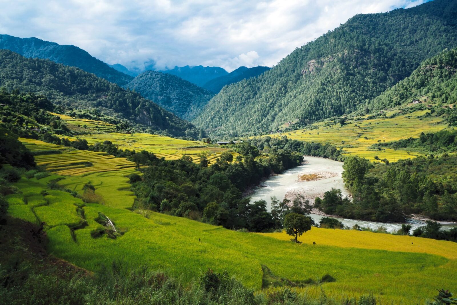 grünes Tal im Himalaya
