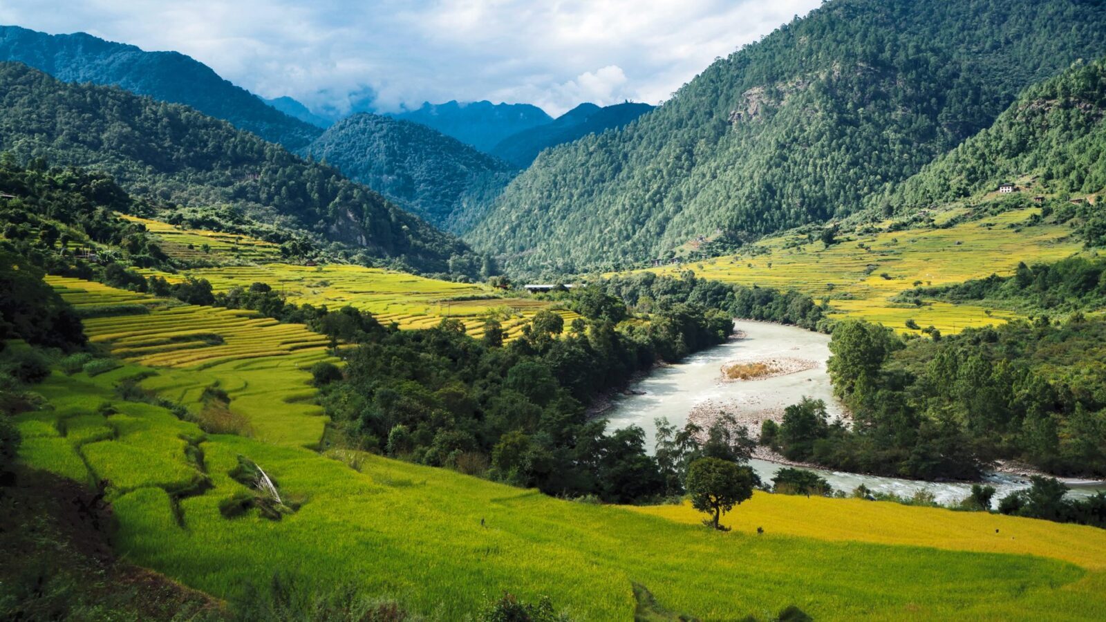 Six-Senses-Bhutan-Punakha_6 grünes Tal im Himalaya